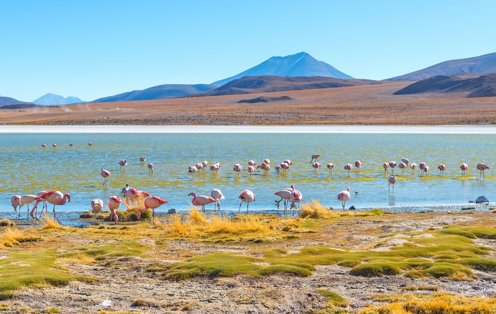 6. Atacama en Altiplano, Chili